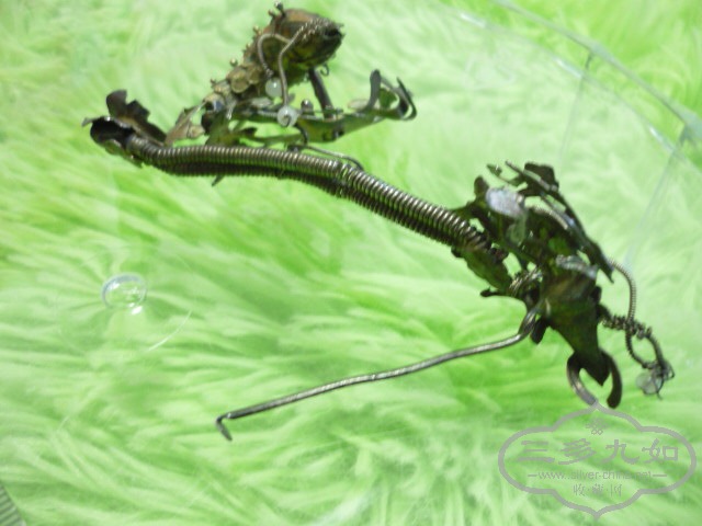 P1130221.JPG