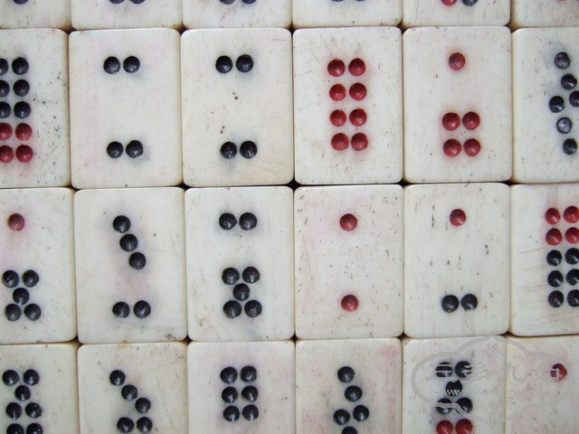 005.JPG