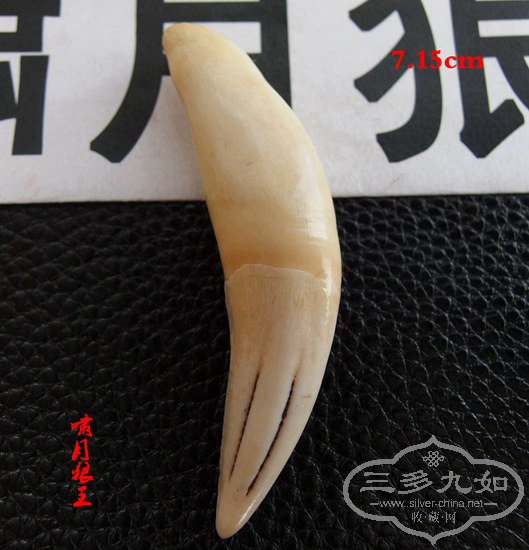 P4215728.JPG