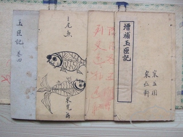 160.JPG