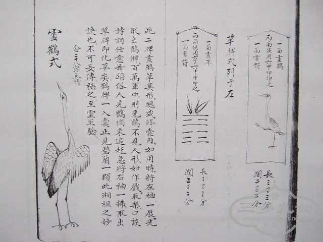 209.JPG