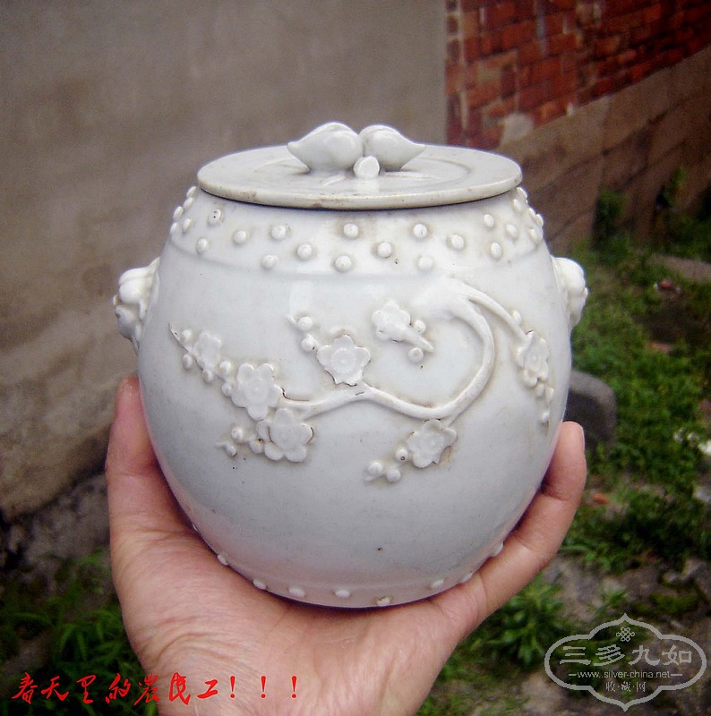 conew_dsc00880.jpg
