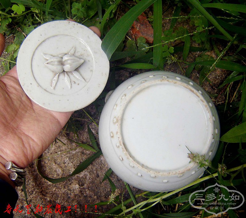 conew_dsc00888.jpg