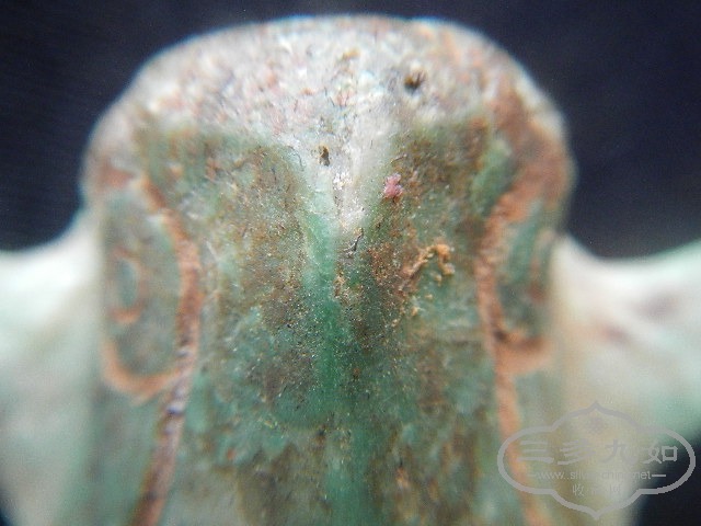 9.JPG
