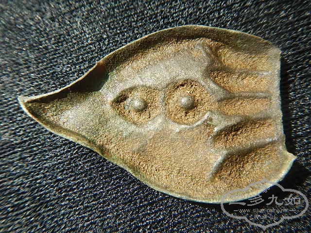 11.JPG