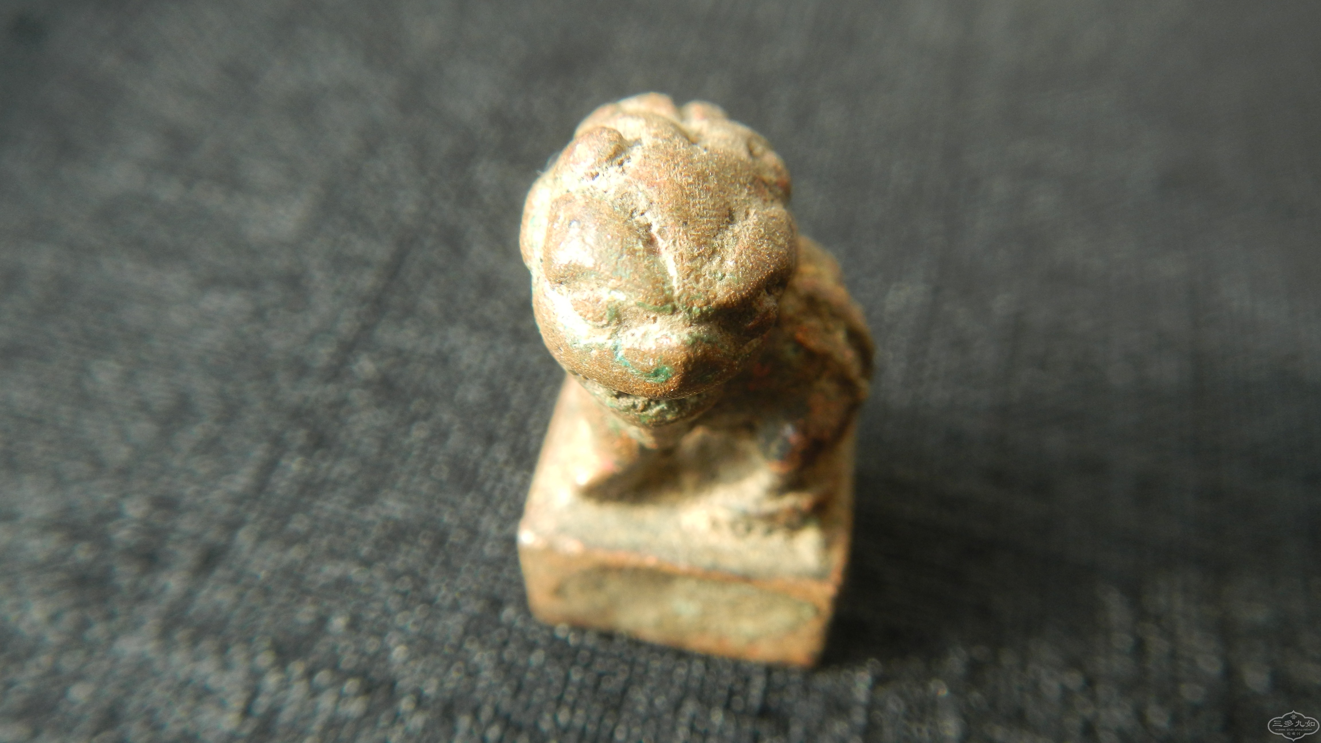 DSCN6276.JPG