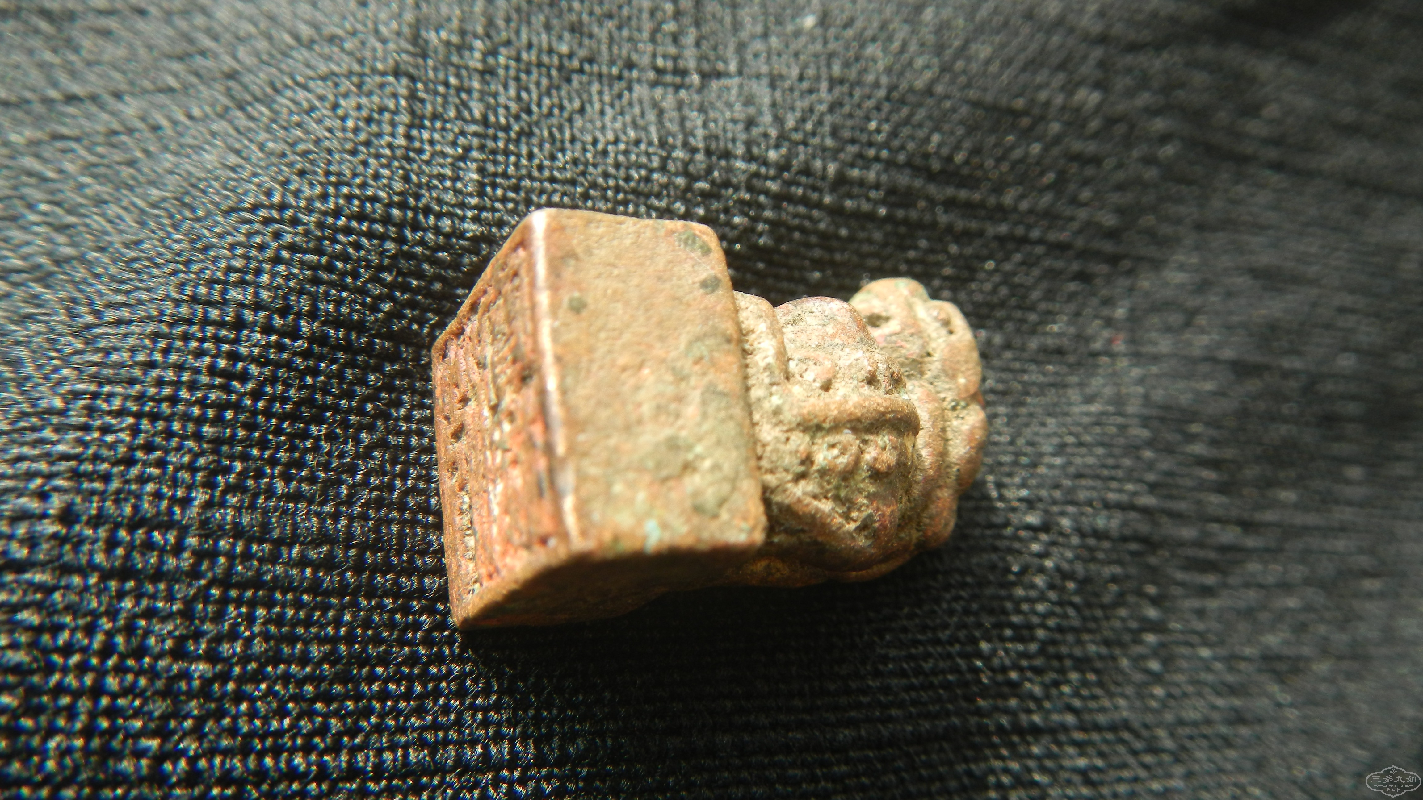 DSCN6284.JPG