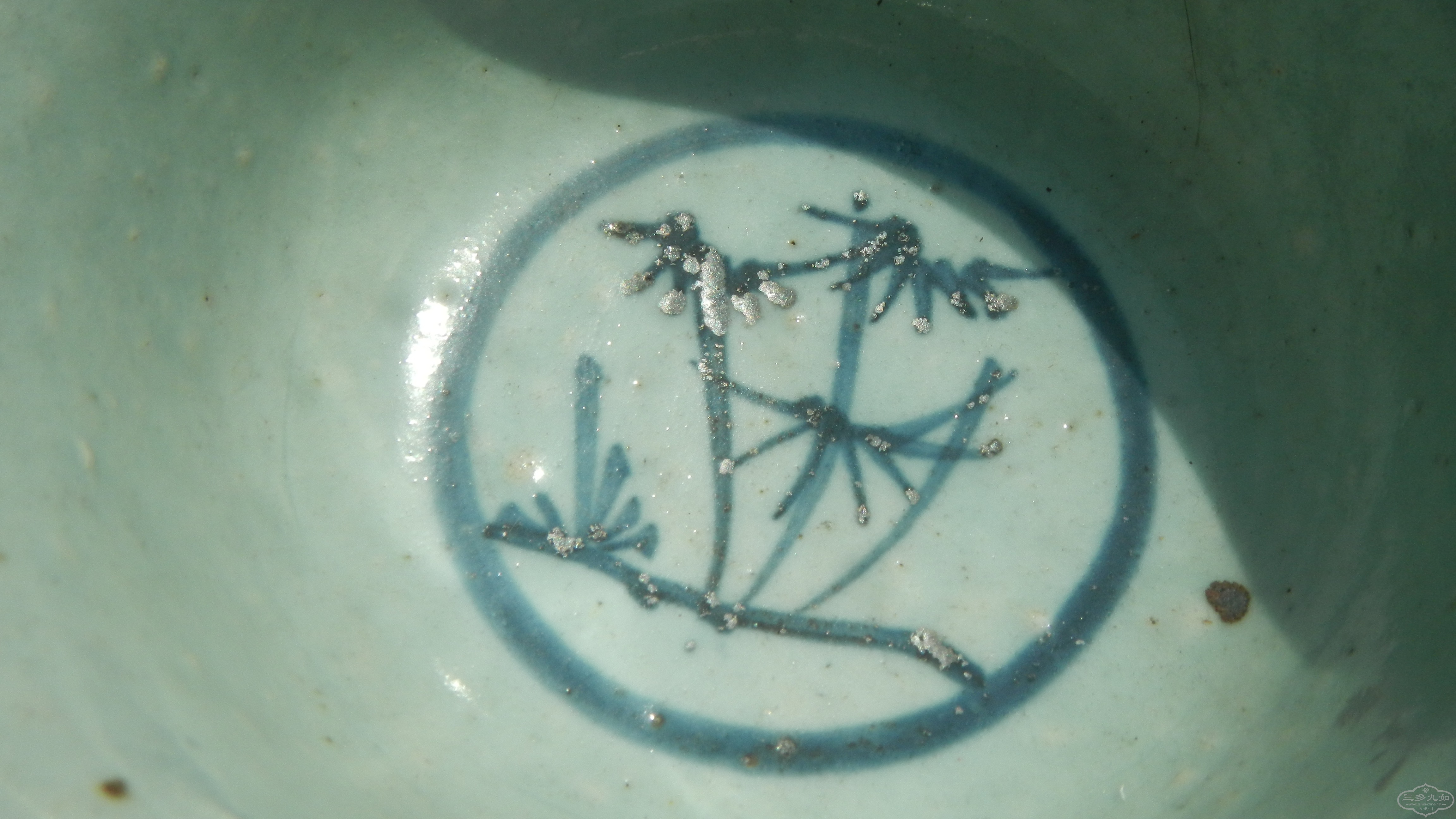 DSCN7129.JPG