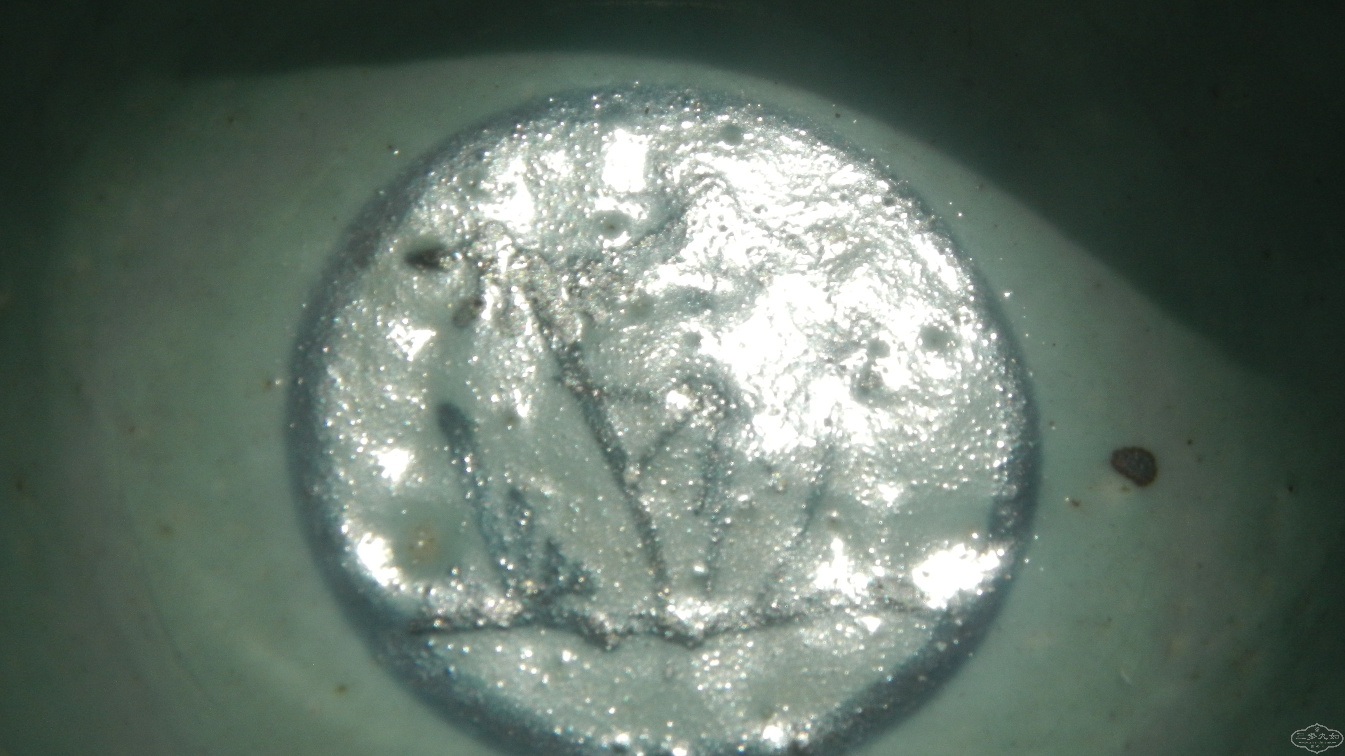 DSCN7116.JPG
