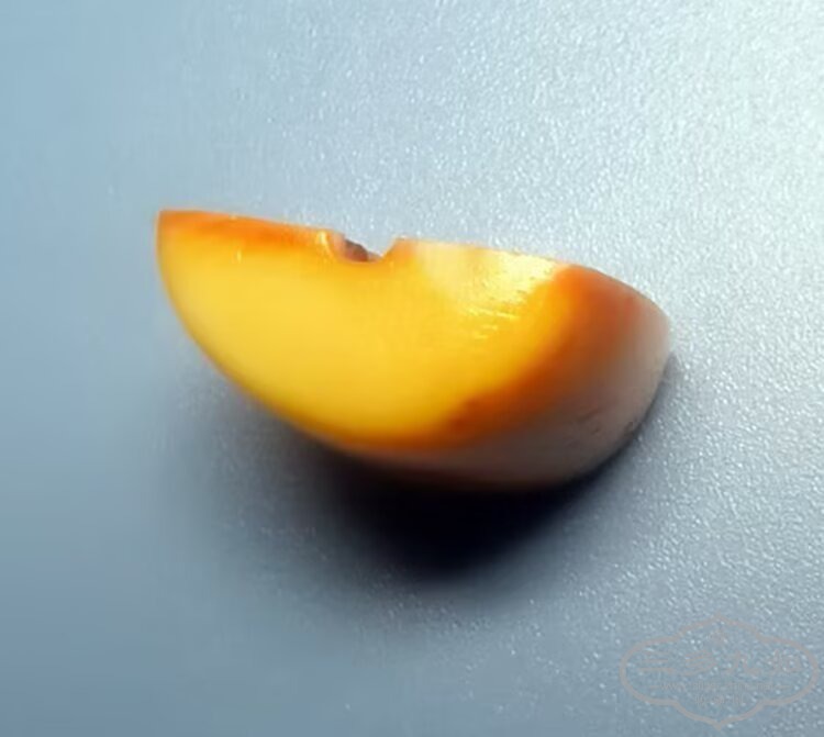 009.jpg