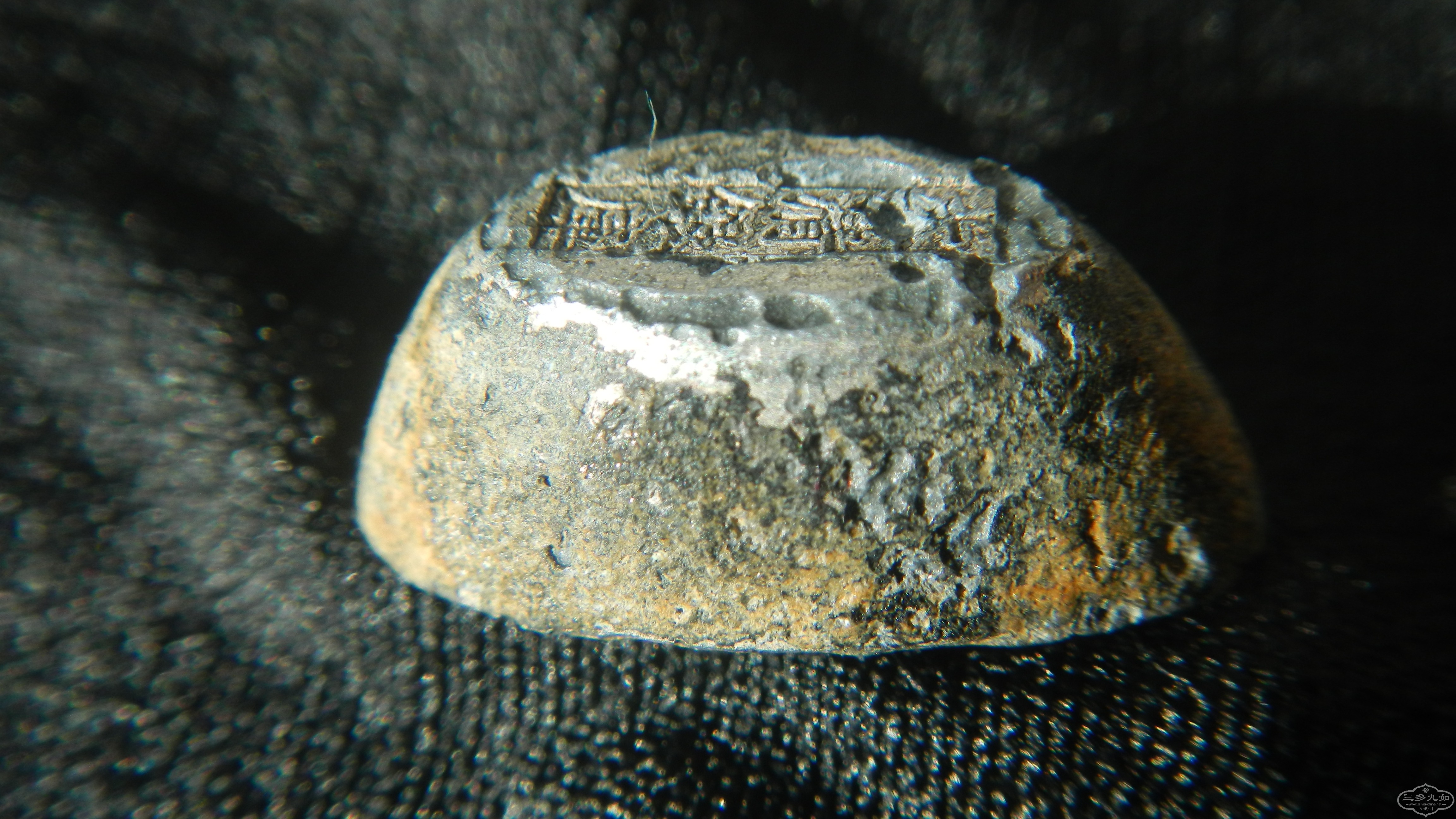 DSCN4561.JPG