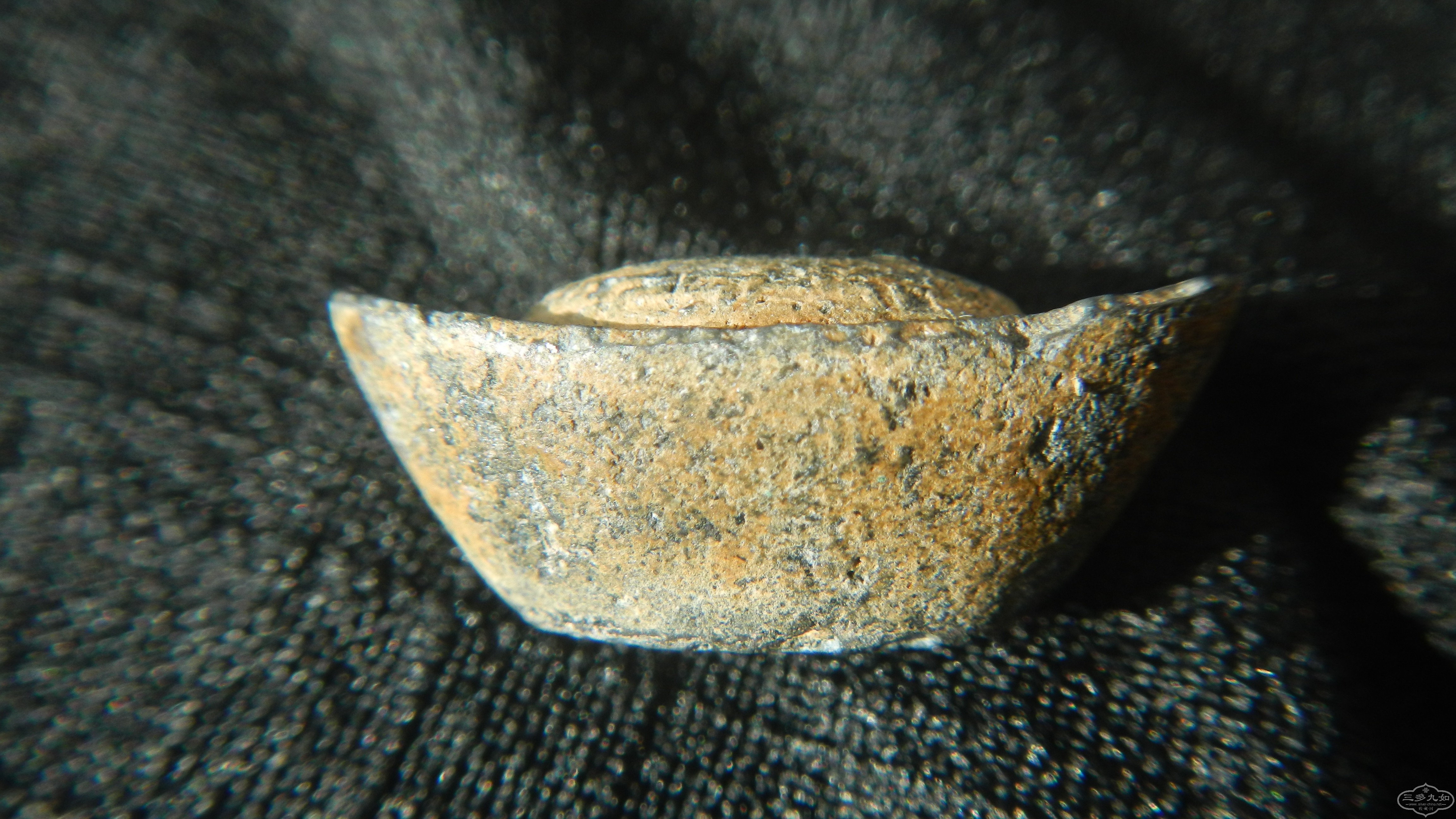 DSCN4565.JPG