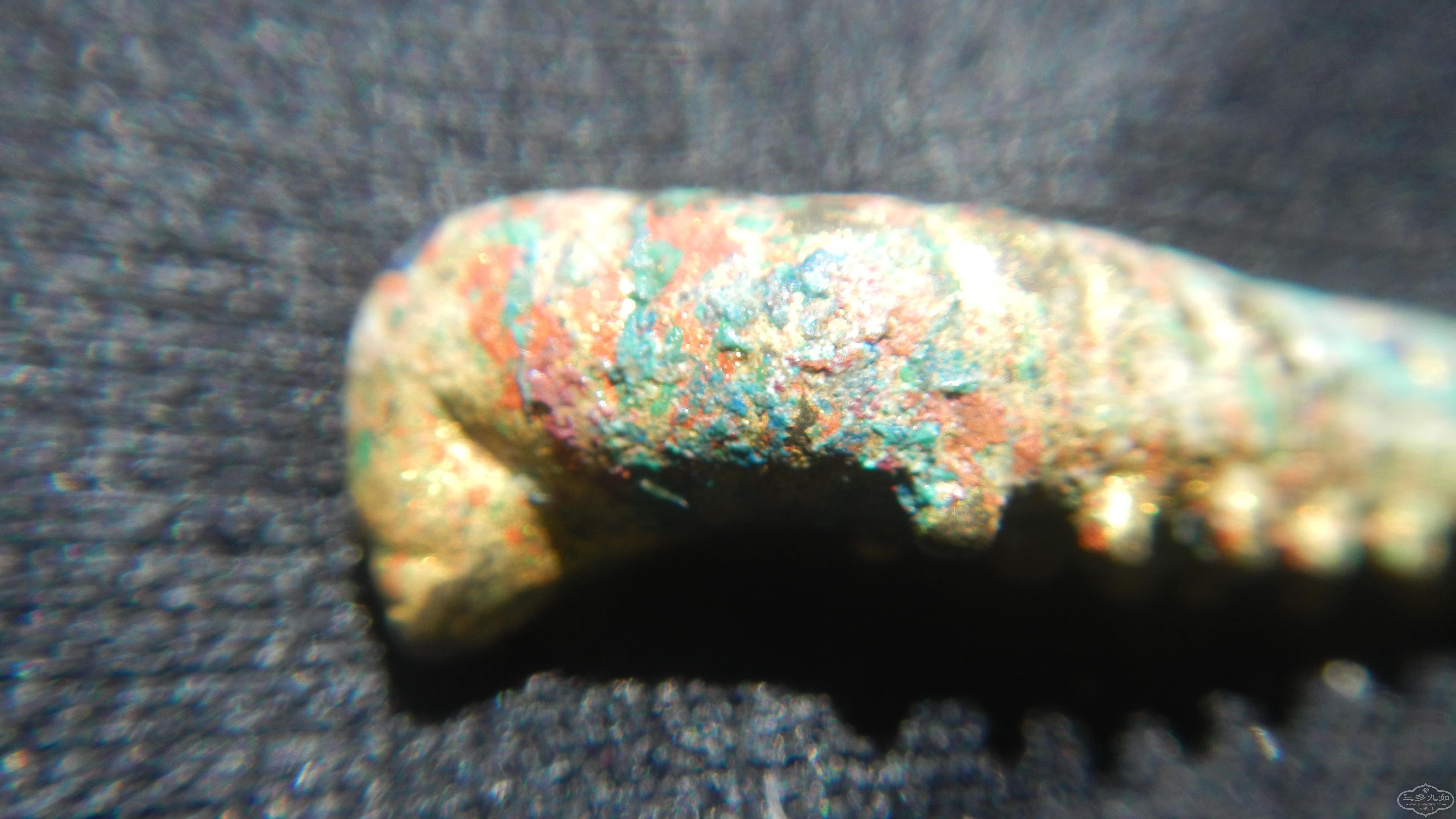 DSCN7123.JPG