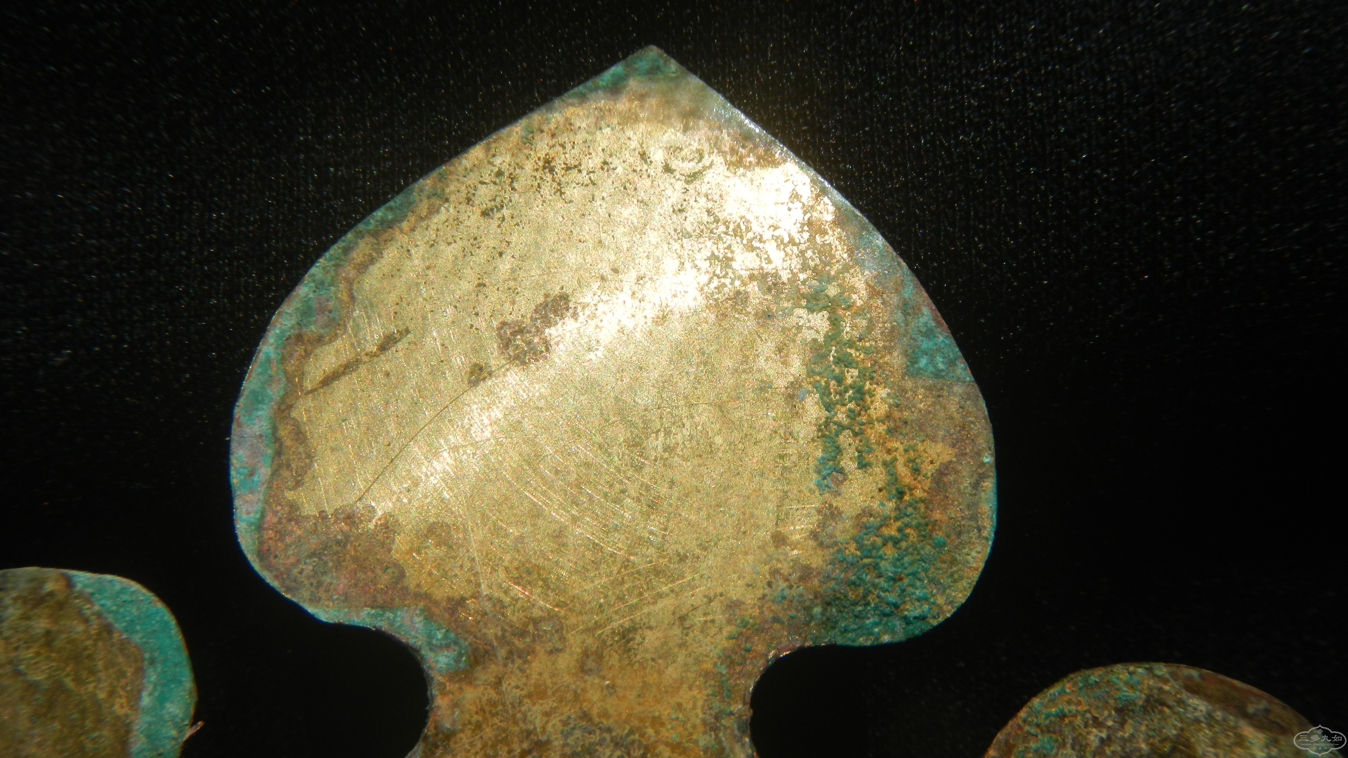 DSCN7173.JPG