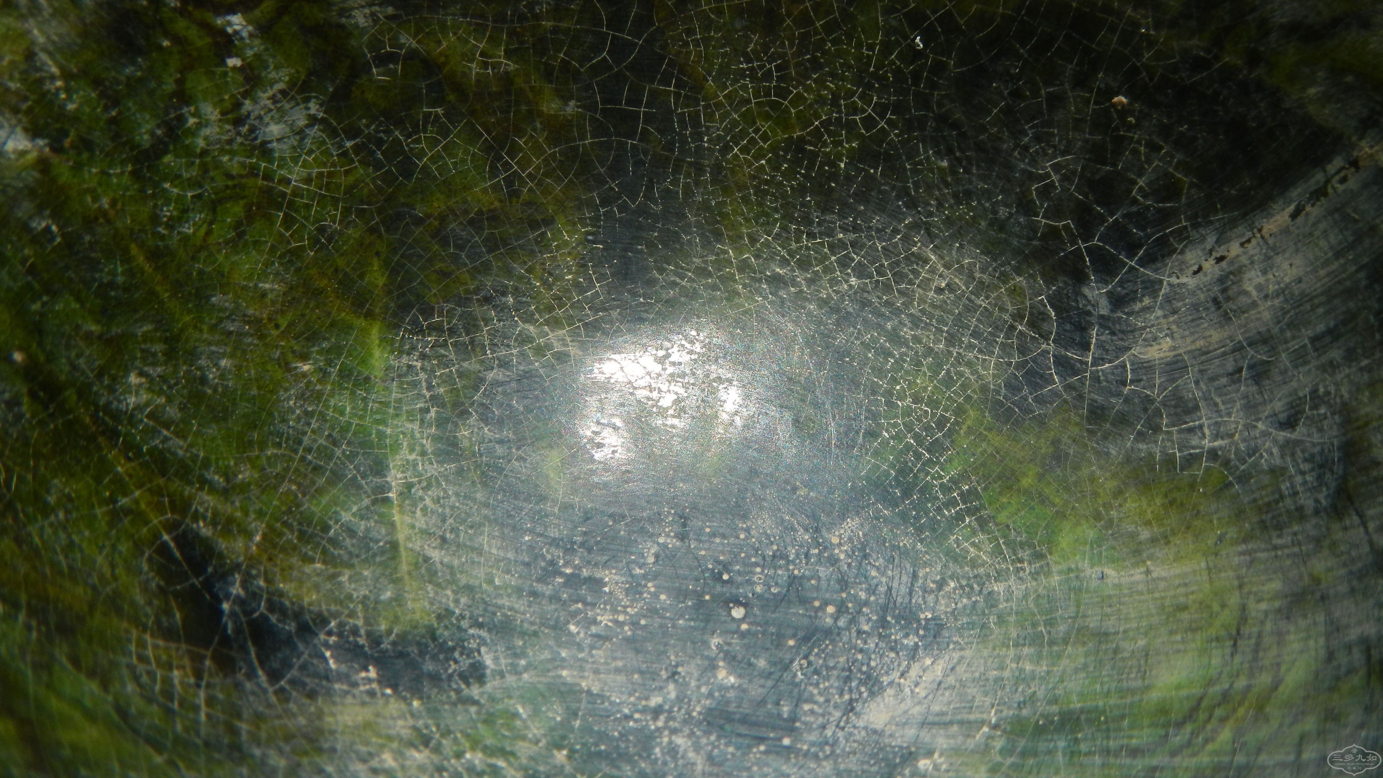 DSCN7231.JPG