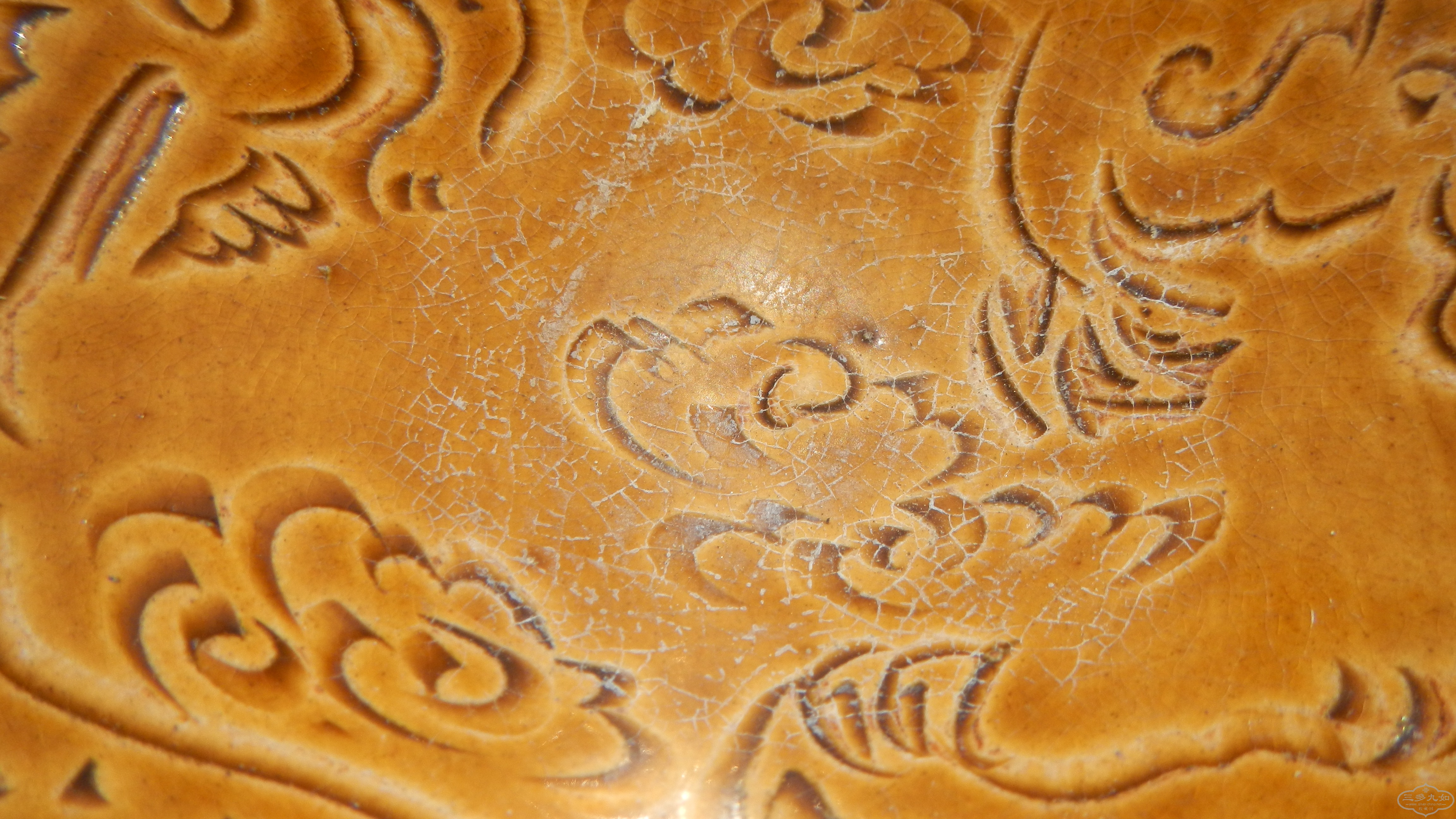 DSCN7409.JPG