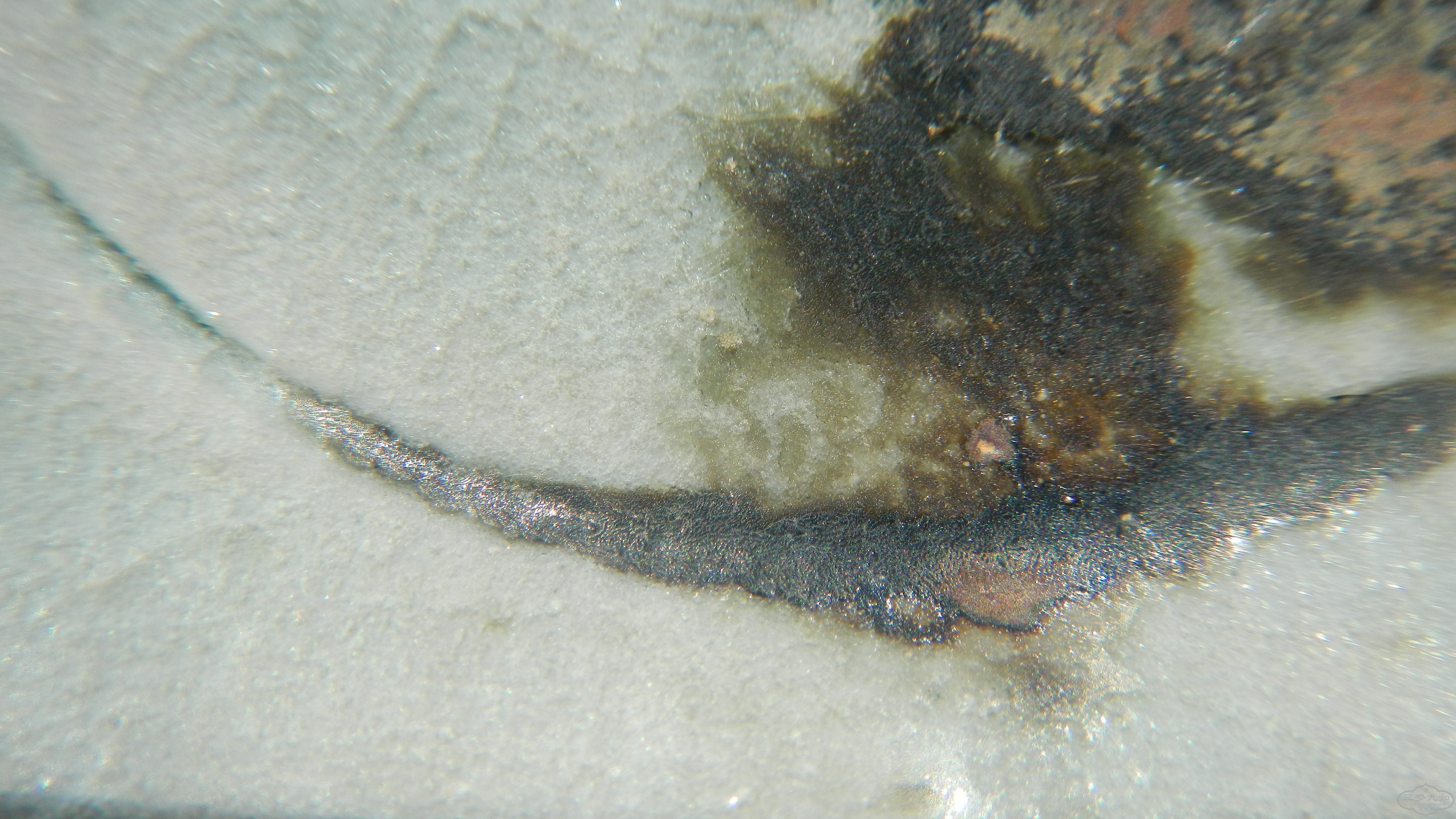 DSCN7612.JPG