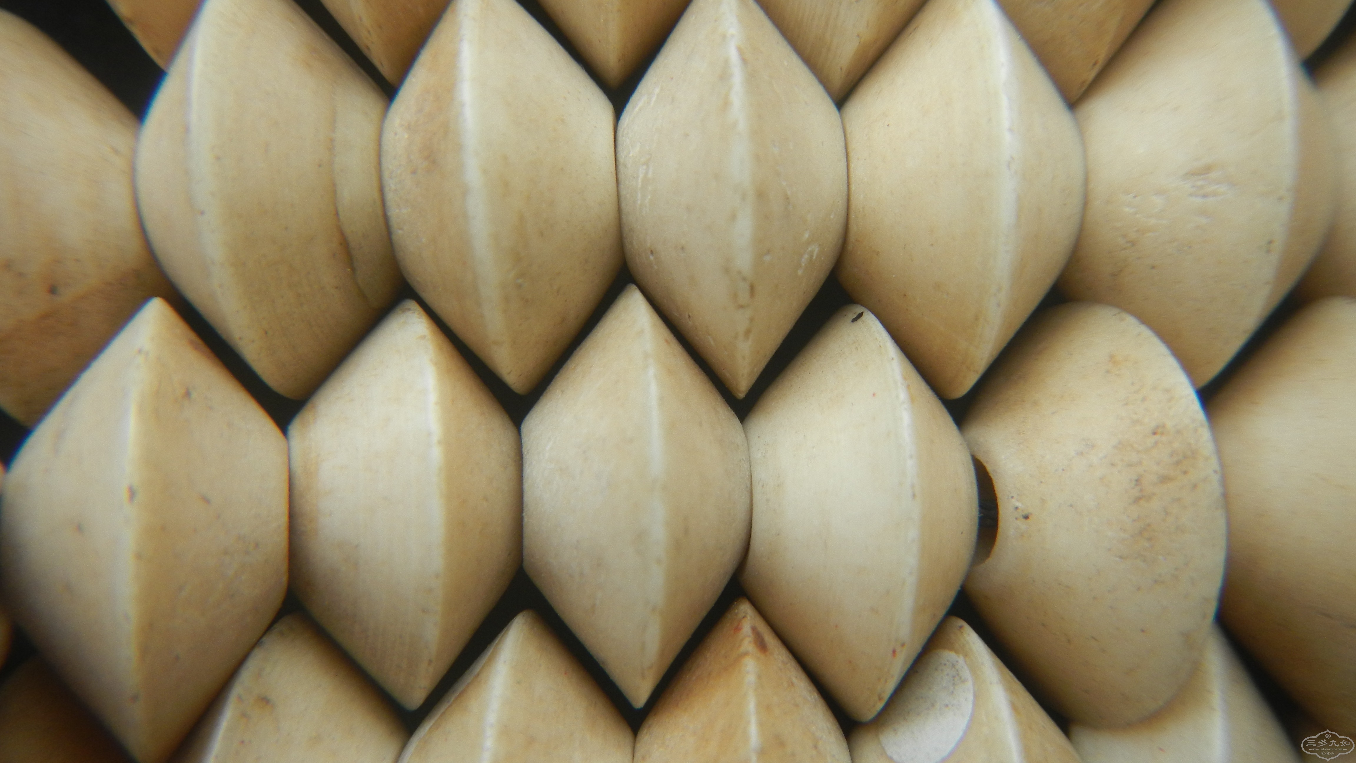 DSCN7651.JPG
