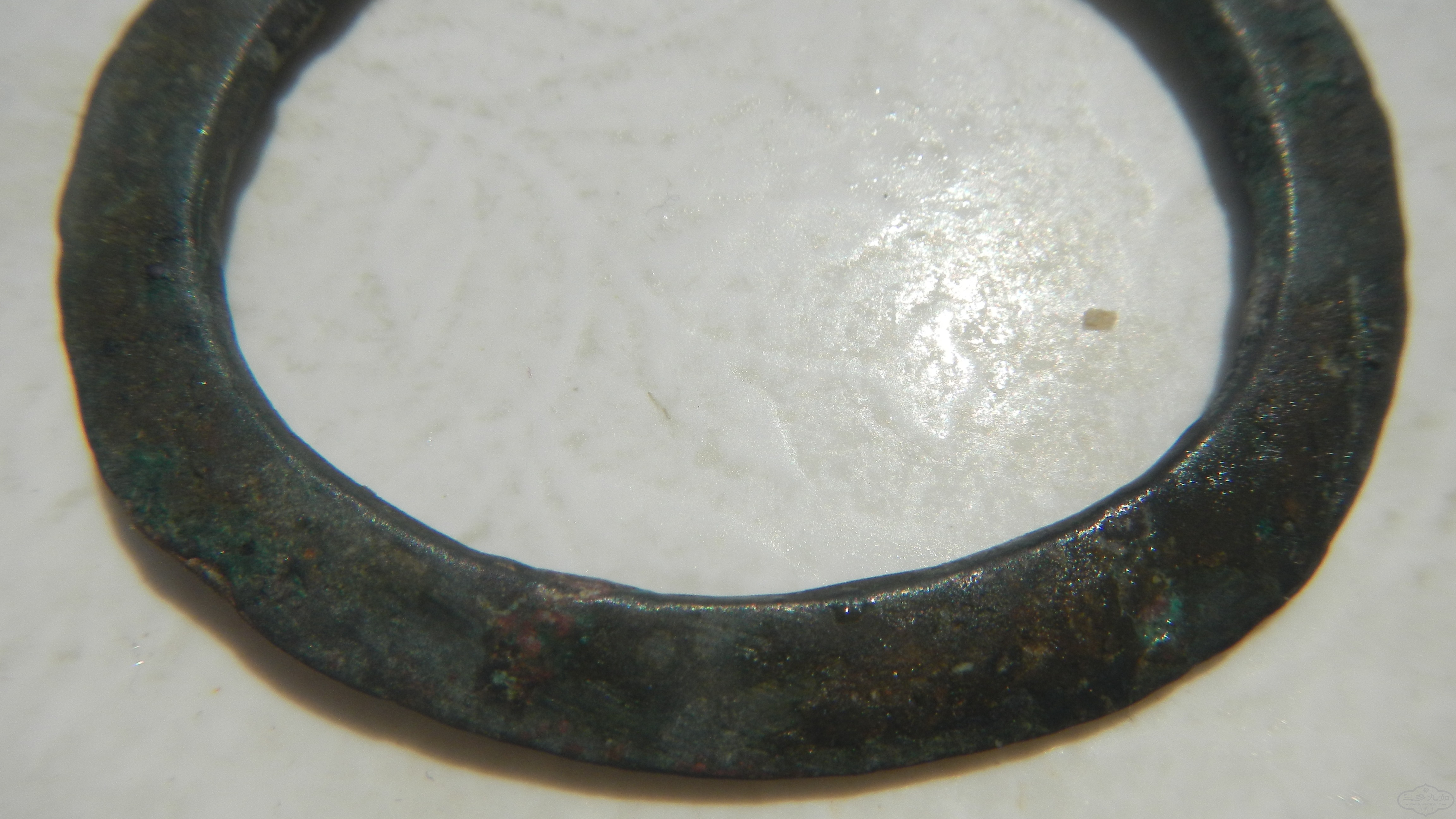 DSCN7519.JPG