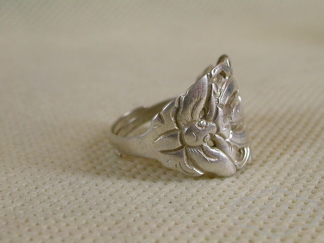 DSCN0900.JPG