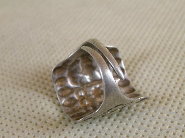 DSCN1165.JPG