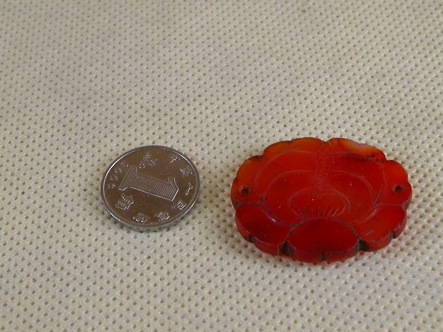 DSCN1115.JPG