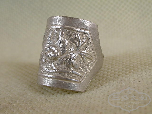 DSCN1087.JPG