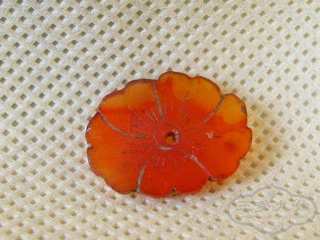 DSCN1276.JPG