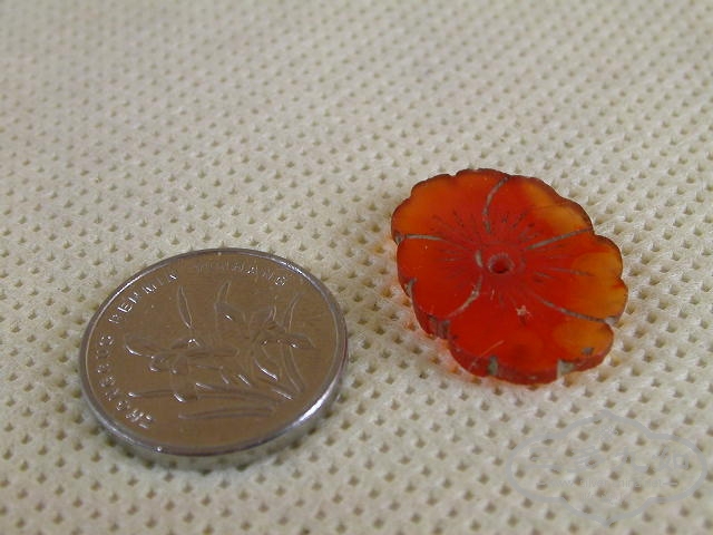 DSCN1277.JPG