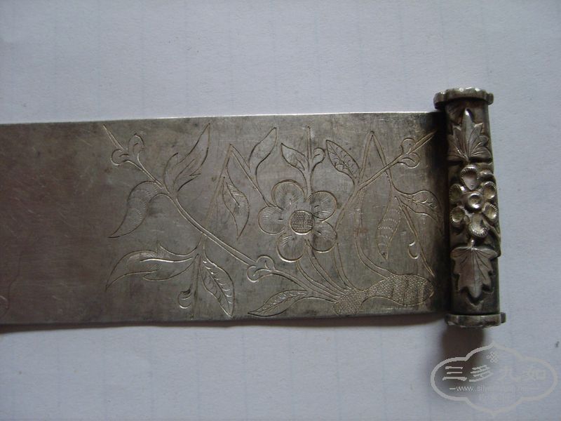 S5005940.JPG