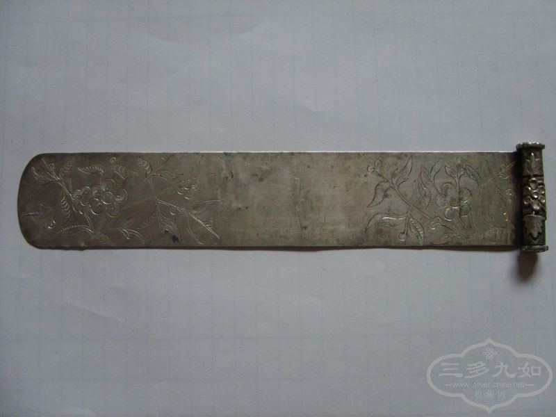 S5005939.JPG