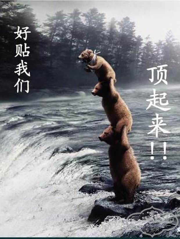 20070511_3dac2f577da5ae120e23nM7dFSedqEm7.jpg