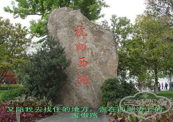 200841922493950_2.jpg