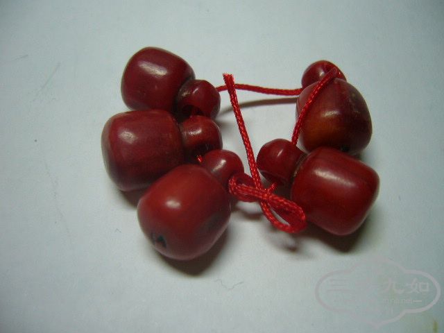 P1030405.JPG