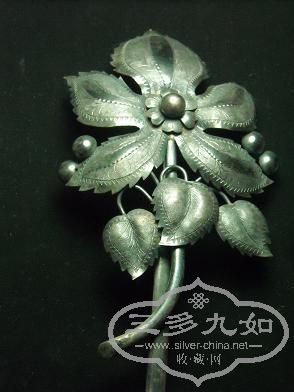 DSCN1591.jpg