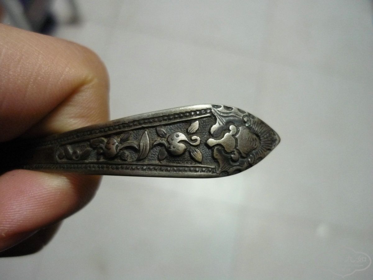 P1000538_.JPG