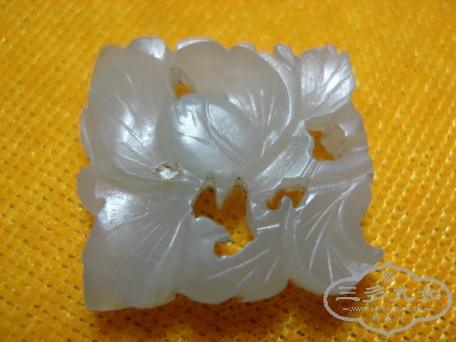 DSC02704.JPG