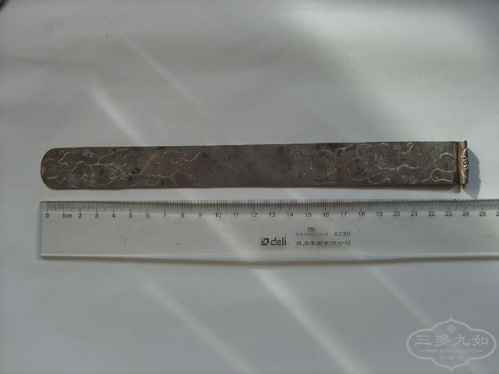 S5006310.JPG