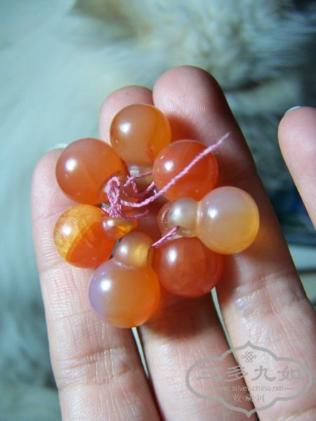 100_5094.JPG