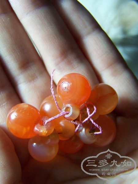 100_5096.JPG
