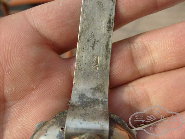 S6304334.jpg