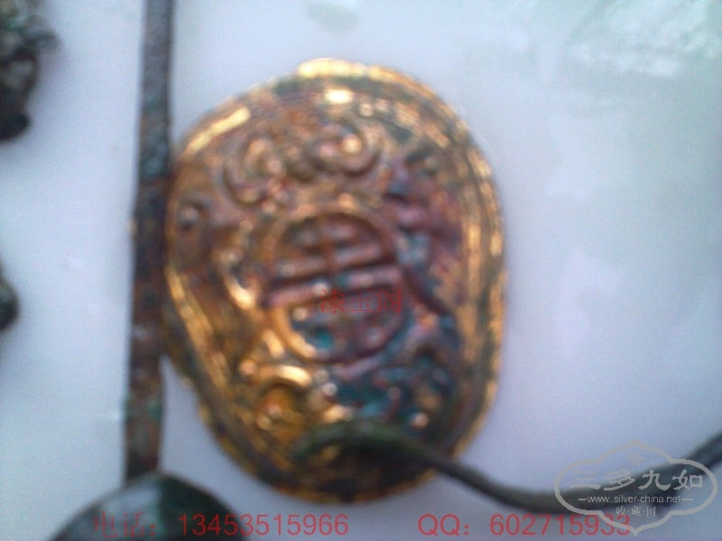 20100213355.jpg