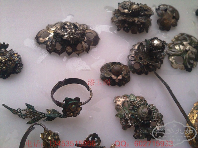 20100213360.jpg