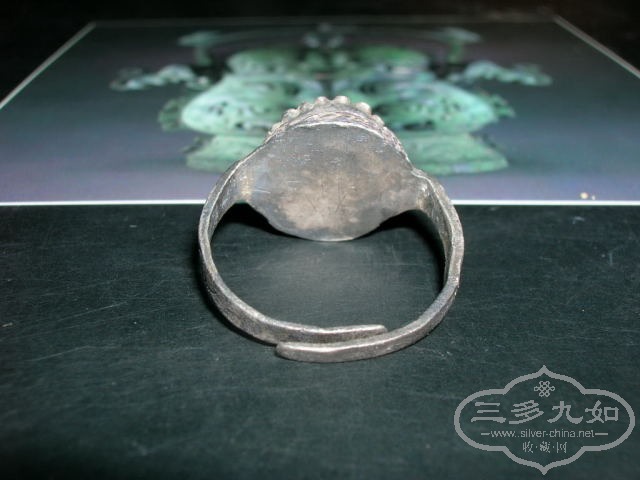 DSCN8630.JPG