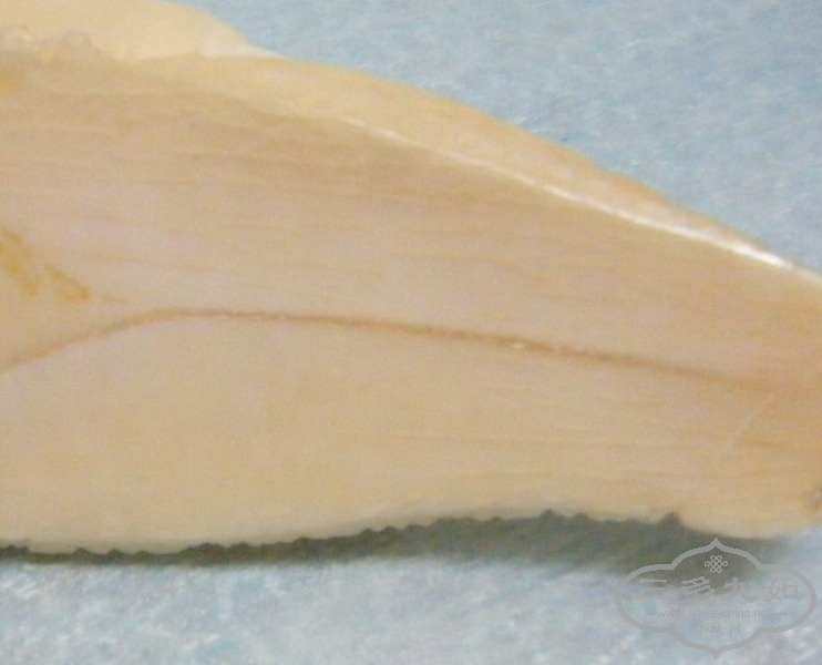 DSCF9618-4.jpg