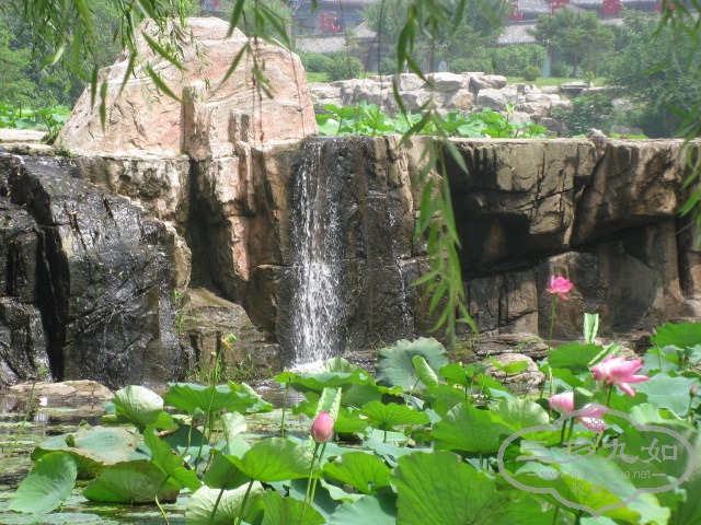 Ƭ 1226.jpg