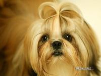2cb4fefe75f6240a5d600834.jpg