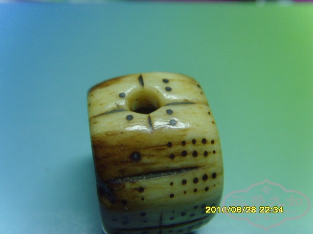 SNV31690.JPG