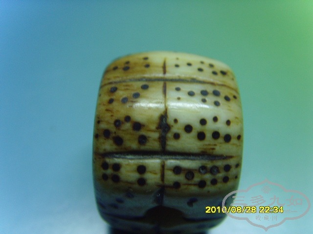 SNV31691.JPG