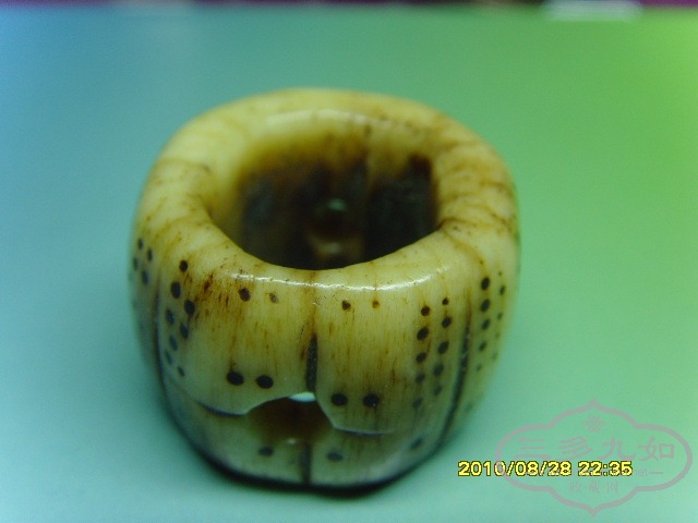 SNV31694.JPG